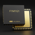 F1M1G1